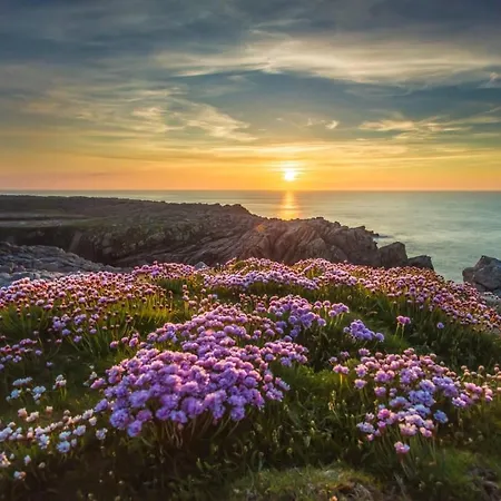 Hotel Ostan Oilean Thorai Tory Island *